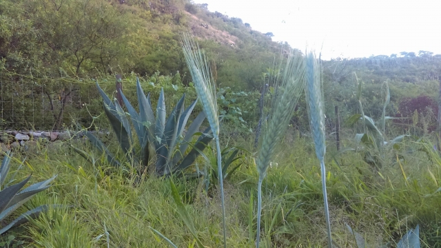 El terreno que escalamos